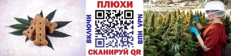 Cannafood марихуана  мориарти наркотические препараты  Клинцы  цены   MEGA вход 