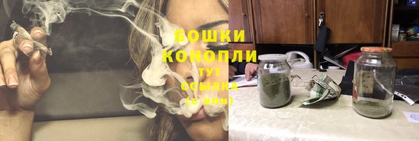 PSILOCYBIN Алзамай