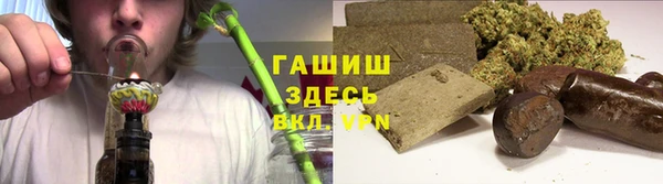 PSILOCYBIN Алзамай