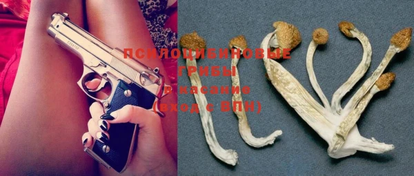 PSILOCYBIN Алзамай