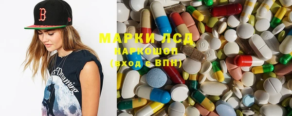 PSILOCYBIN Алзамай