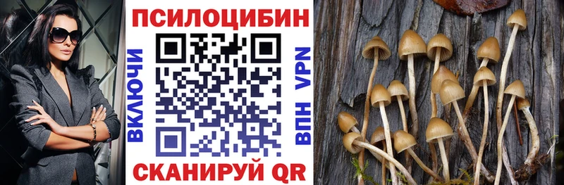 Галлюциногенные грибы MAGIC MUSHROOMS  Клинцы 
