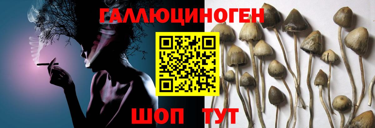 Галлюциногенные грибы мухоморы Клинцы